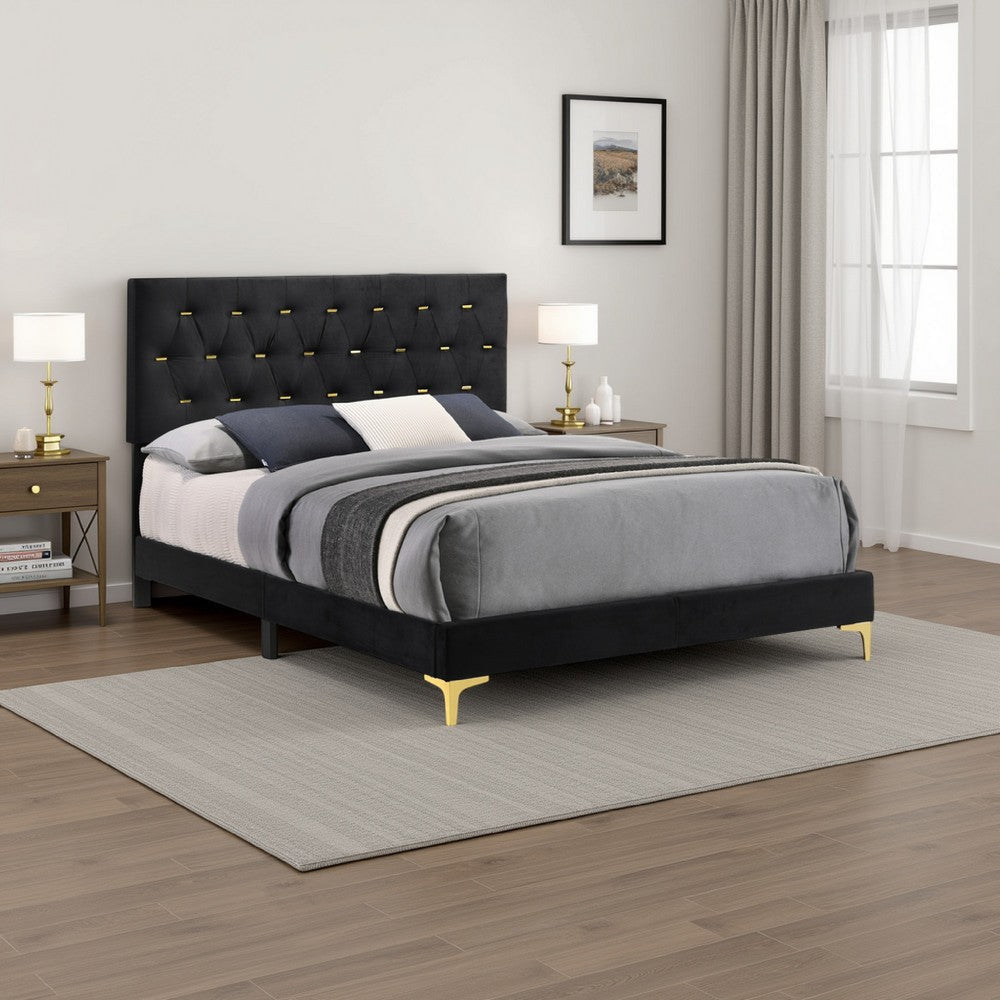 Lif Platform California King Size Bed, Tufted Headboard, Gold, Black Velvet By Casagear Home