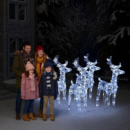 Garden 4pc Reindeer and Sleigh Christmas Decoration, 240 LEDs, White