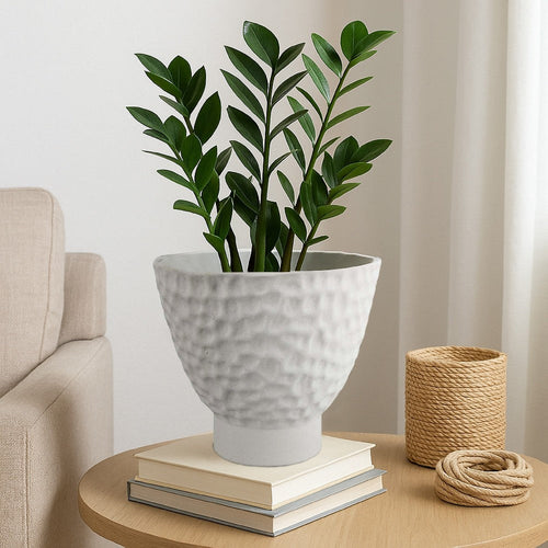 Decorative Bowl Shaped Planter | Modern Hammered White Ceramic 12"
