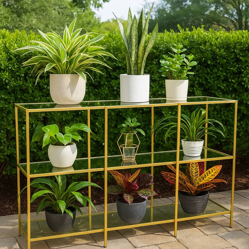 Woly Plant Stand Rack | 2 Glass Shelves | 59" Industrial Gold Metal