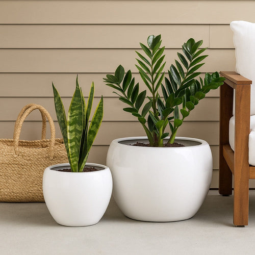 Womy Wide Decorative Planters Set of 2 | Glossy White Ceramic 14, 20"