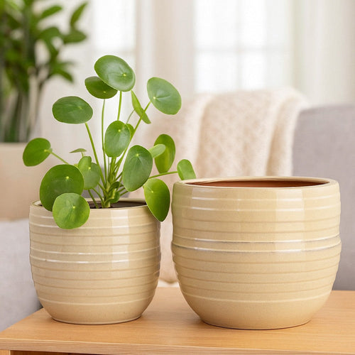 Paulo Barrel Planter Set of 2 | Raised Ribbed Beige Ceramic 19 | 15"