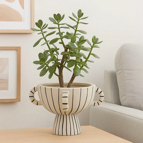 Javier Accent Planter with Loop Handles | Pedestal Black Beige Ceramic