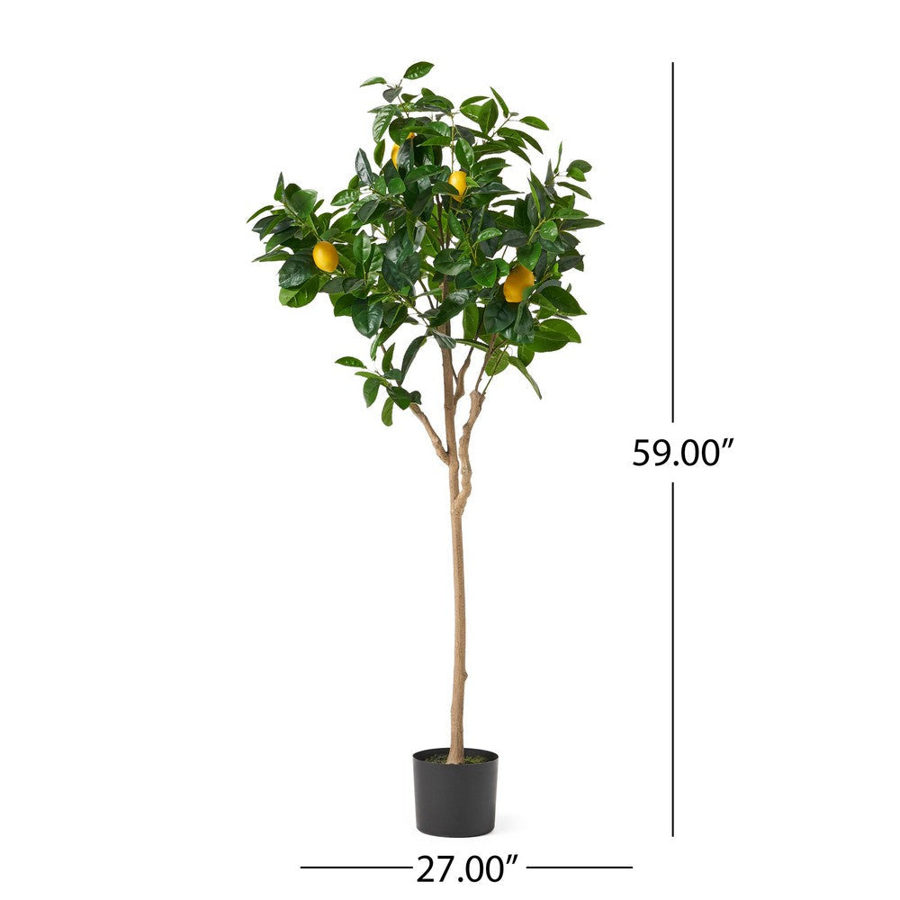 Zylo Decorative Faux Lemon Tree | 59’’ BM335725