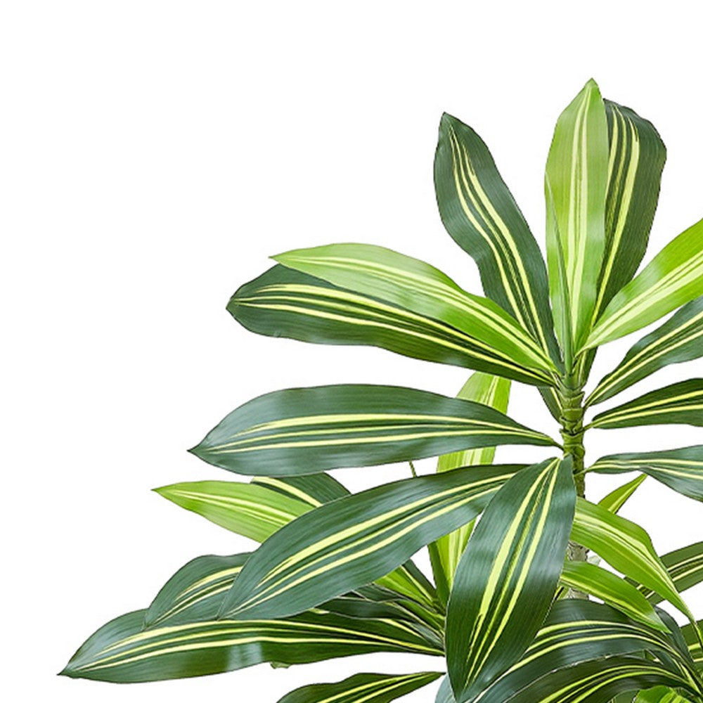 Kren Artificial Dracaena Tree | White Planter | Lifelike Poly Silk 60"