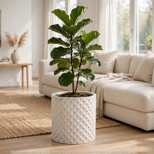 Gana Cylindrical Planter | 3D Diamond Design | Antique White Concrete 16"