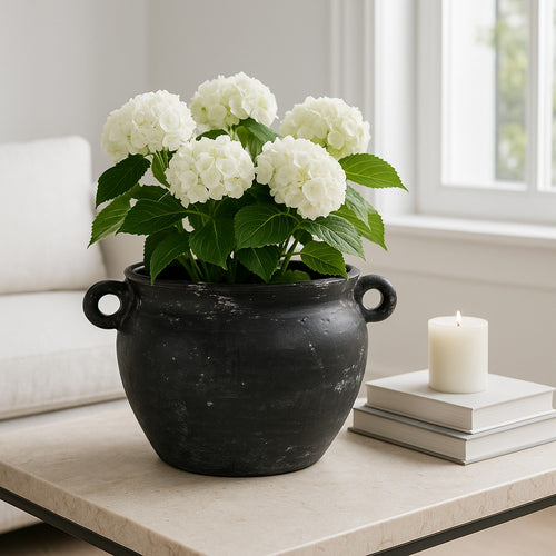 Outdoor Decorative Planter | Jug Shape w Handles | 12" Black Ceramic