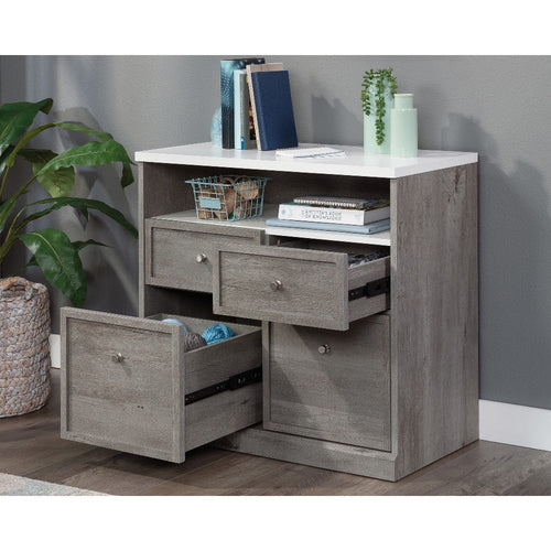 Craft Pro Series Storage Cabinet Myo Dis