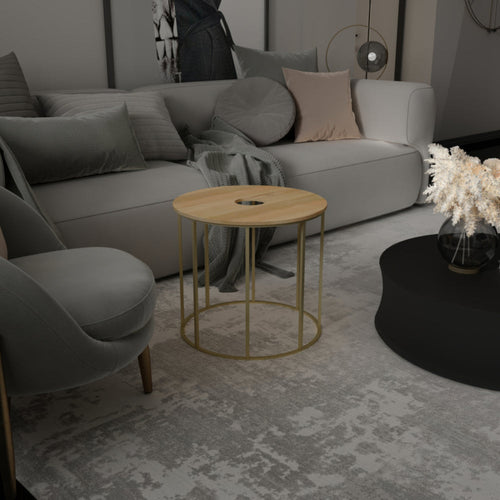 19 Inch Side End Table, O Round Shape Natural Mango Wood Top, Brass Powder Coated Open Frame By The Urban Port