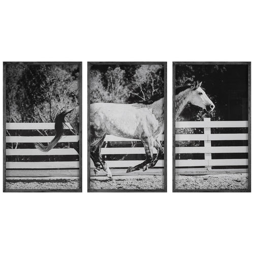 Uttermost 32279 Galloping Forward - Framed Print (Set of 3)-35 Inches Tall and 21 Inches Wide
