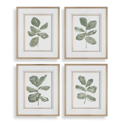 Uttermost Fiddle Head Leaf Botanical Prints Set/4 UT-32454
