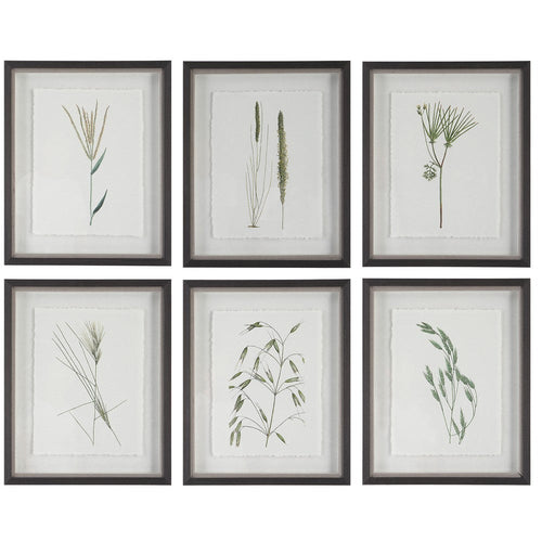 Forest Finds - Framed Wall Decor (Set of 6)-22 Inches Tall and 18 Inches Wide