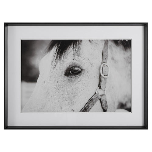 Eye Of The Beholder - Framed Print-34.25 Inches Tall and 46.25 Inches Wide