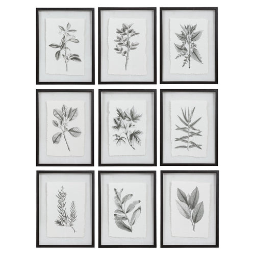 Farmhouse Florals - 23 Inch Framed Print (Set of 9) - 17.5 inches wide by 0.75 inches deep
