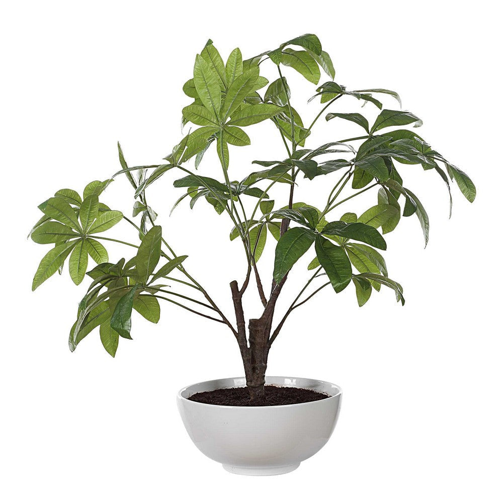 Uttermost Pachira Money Tree UT-60225
