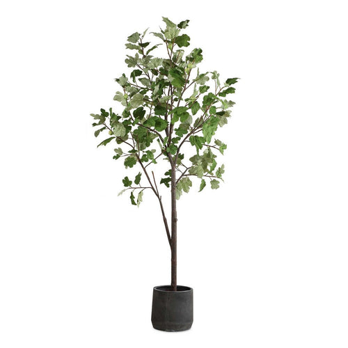 Uttermost Eden Potted Fig Tree