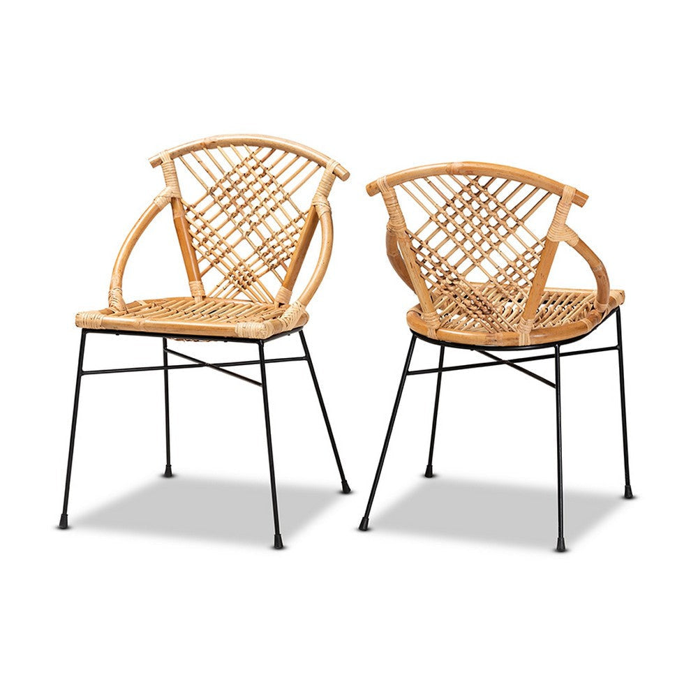 bali & pari Pro Modern Bohemian Natural Brown Rattan and Black Metal 2-Piece Dining Chair Set WHI-Pro-Rattan-Black-DC