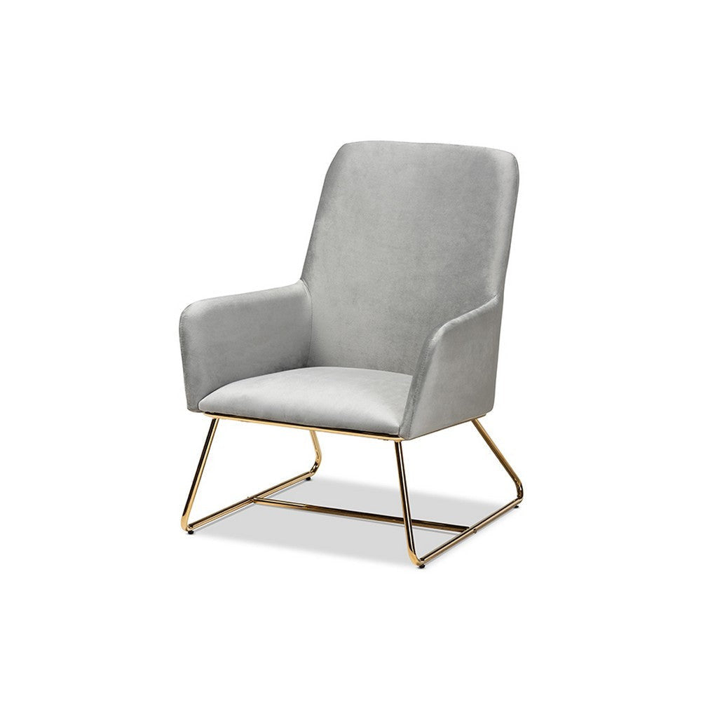 Baxton Studio Sennet Glam and Luxe Grey Velvet Fabric Upholstered Gold Finished Armchair WHI-SF1802-Grey-Velvet-Gold-CC