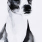 Dog Breed Watercolor Painting with Wooden Backing Black and White By Casagear Home BM200604