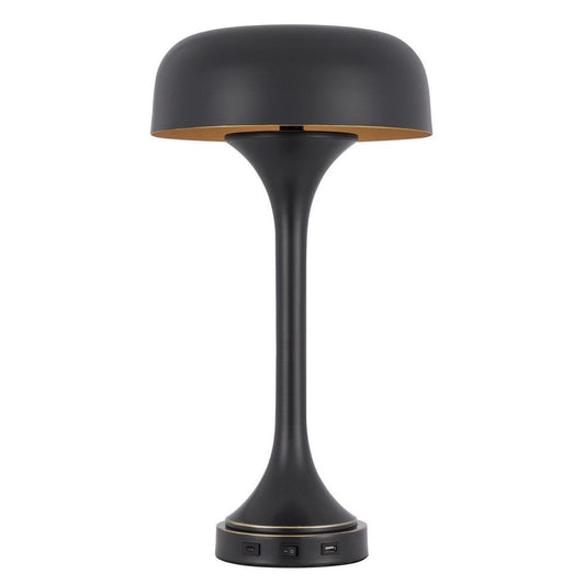 Emma 22 Inch Modern Desk Lamp, 2 USB, 1Type C Charging Port, Dark Bronze By Casagear Home