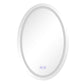 Oval LED Wall Mirror with Metal Encasing and Frosted Edges Silver By The Urban Port UPT-266402