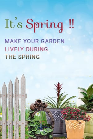 How to make your Garden lively during the spring