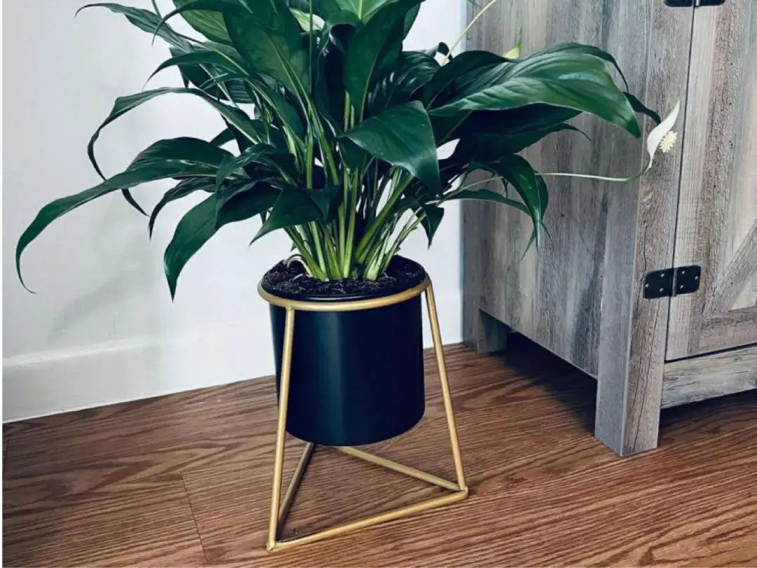 Metal Round Planter with Triangle Base Metal Round Planter with Triangle Base
