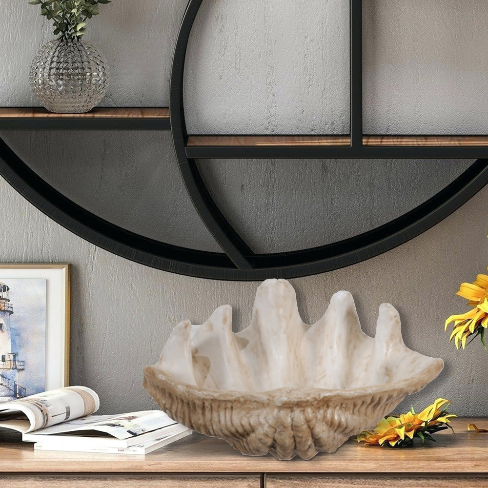 Clam Shell Accent | Medium Size | White