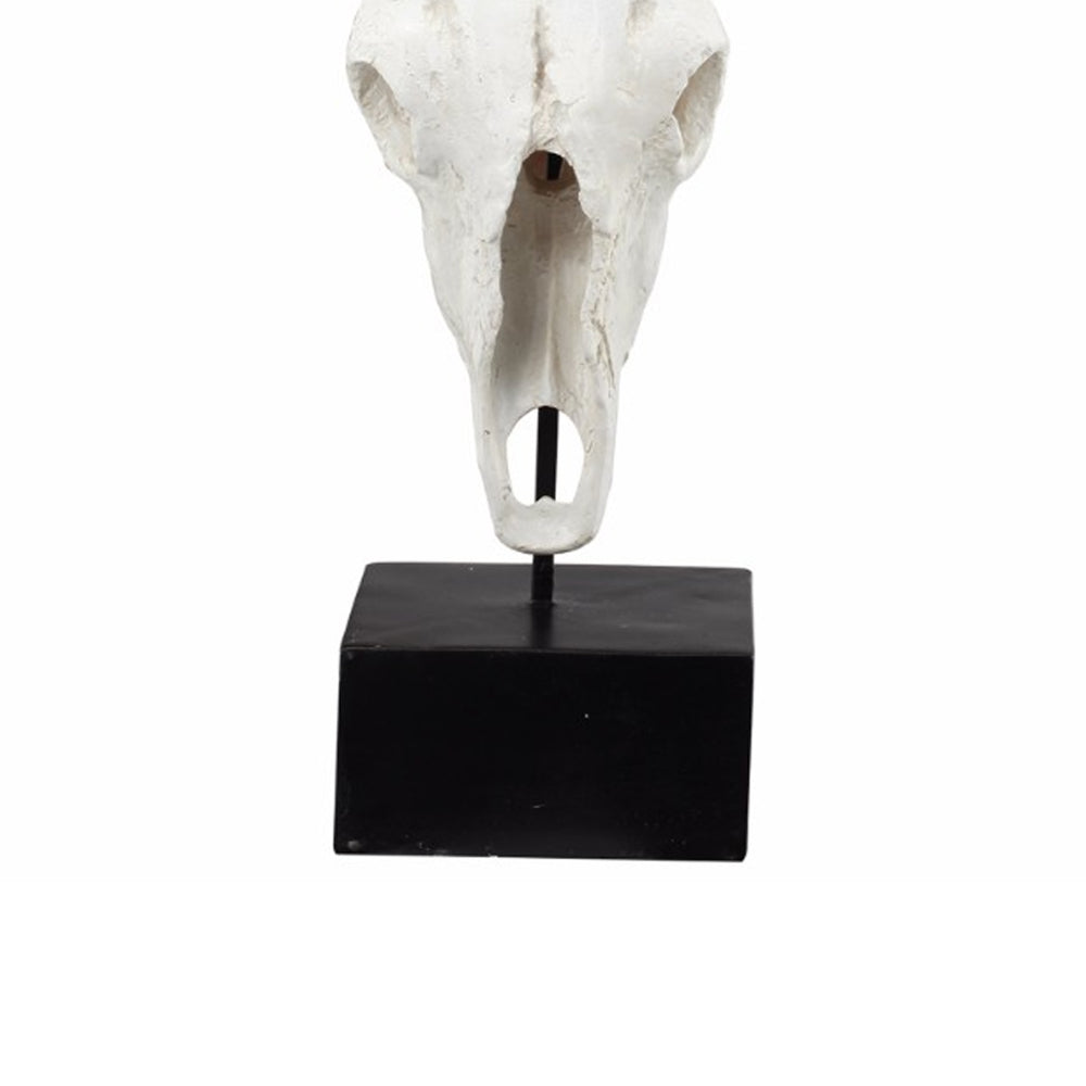 Wild & Beautiful Cow Skull, Resin By Casagear Home