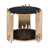 Modern Metal and Glass End Table with Tubing Design, Black and Gold