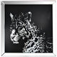 Wall Decor | Square | Leopard Design | Crystal Inlays | Black & Silver