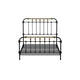 Transitional Queen Metal Bed Black and Gold By Casagear Home FOA-CM7733Q