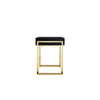 Wooden Two Drawers Writing Desk with Stainless Steel Legs, Black and Gold
