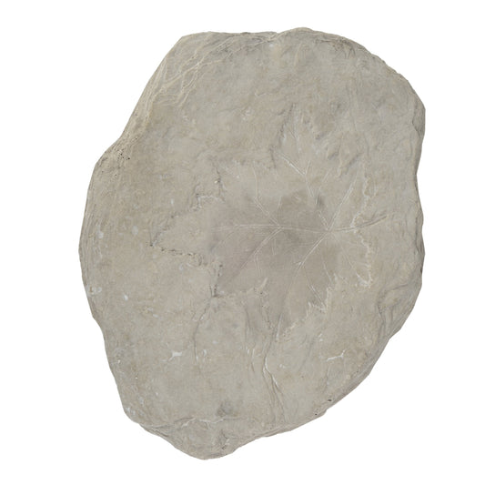 Concrete Fossil Accent Stone with Maple Leaf Imprint, White - BM200857