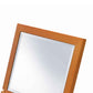 Wooden Rectangular Tilted Bevelled Mirror Brown and Silver By Casagear Home BM204307