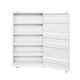 Industrial Style Metal Chest with Recessed Door Front White BM204609