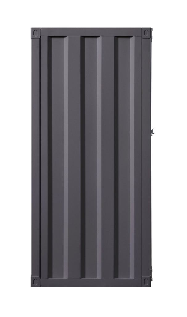 Chest | Metal | Recessed Door Front | Industrial Style | Gray BM204617