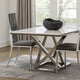 Metal Dining Side Chair with Acrylic Backing, Set of 2,Gray and Silver