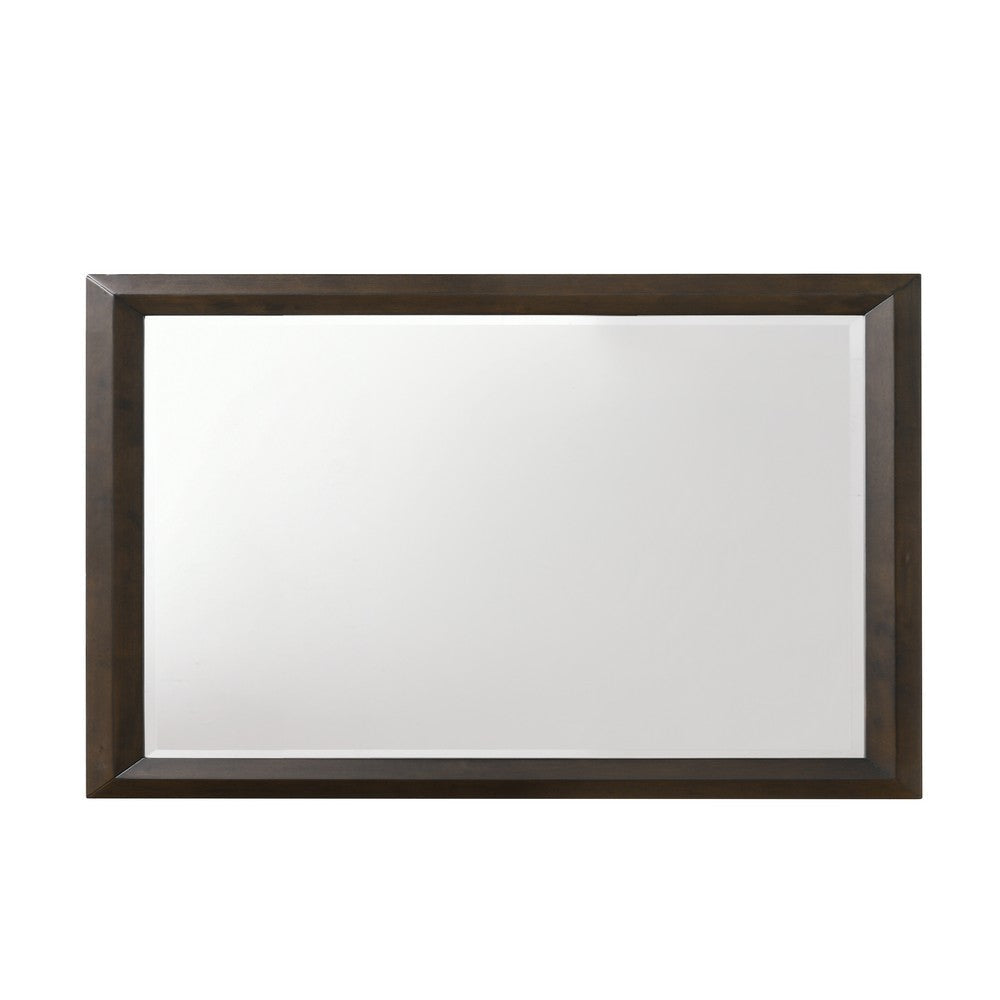 Transition Style Wooden Mirror with Rectangular Shape,Brown and Silver