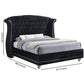 Velvet Upholstered Wooden Queen Size Bed with Shelter Style Headboard,Black By Casagear Home BM206536