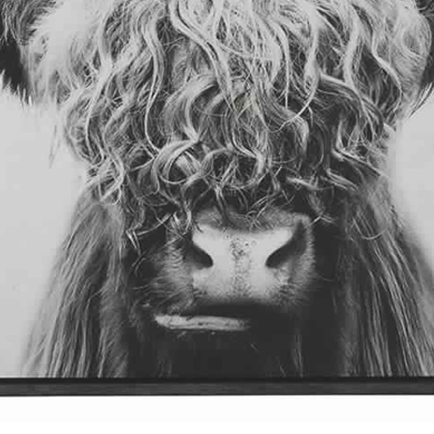 48" X 36" Wood Frame Highland Cow Wall Art, Black and White By Casagear Home