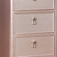 Wooden Frame 5 Drawer Swivel Chest with Mirror Trim Rose Gold By Casagear Home BM207314