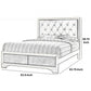 Transitional Wooden Queen Size Bed with Button Tufted Headboard champagne By Casagear Home BM208547