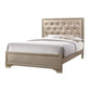 Transitional Wooden Queen Size Bed with Button Tufted Headboard, champagne By Casagear Home