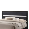 Transitional 2 Drawer Wooden Queen Size Bed with Glitter Stripe Black By Casagear Home BM208548