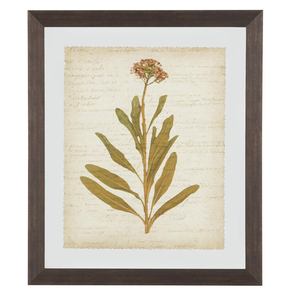 Wooden Frame Wall Art with Botanical Design Set of 4 Green and Brown By Casagear Home BM209336