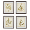 Wooden Frame Wall Art with Botanical Design, Set of 4, Green and Brown By Casagear Home