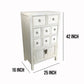 42" 8 Drawer Wooden Chest with 2 Door Cabinet, White By Casagear Home