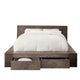 California King Bed | Transitional Style | 2 Drawers | Brown