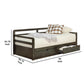 Two Drawer Wooden Extra Large Twin Size Bed with Trundle Brown By Casagear Home BM216086